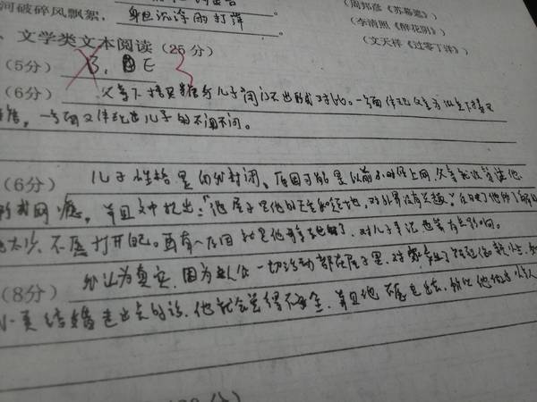 河南輸送設備廠（chǎng）家