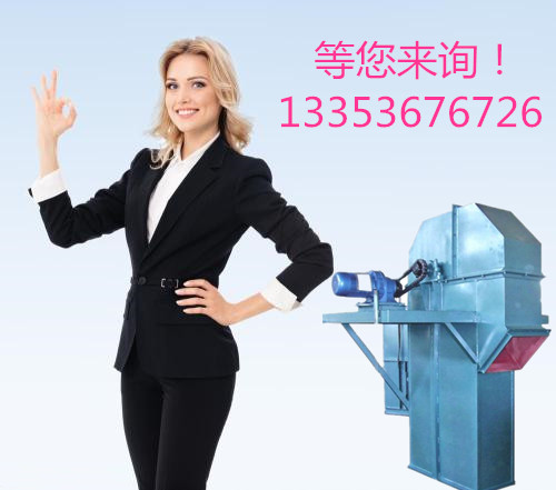 散料碎塊TH環鏈鬥式提（tí）升機詳（xiáng）解