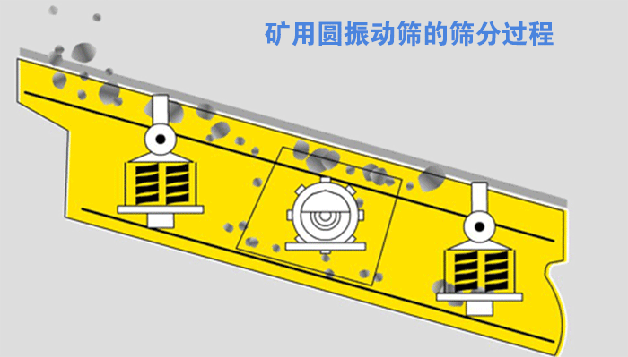 礦用圓振（zhèn）動篩的（de）篩分原理